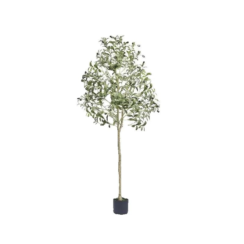 Dracaena Marginata - Sztuczne drzewo oliwnie SucceBuy o wysokości