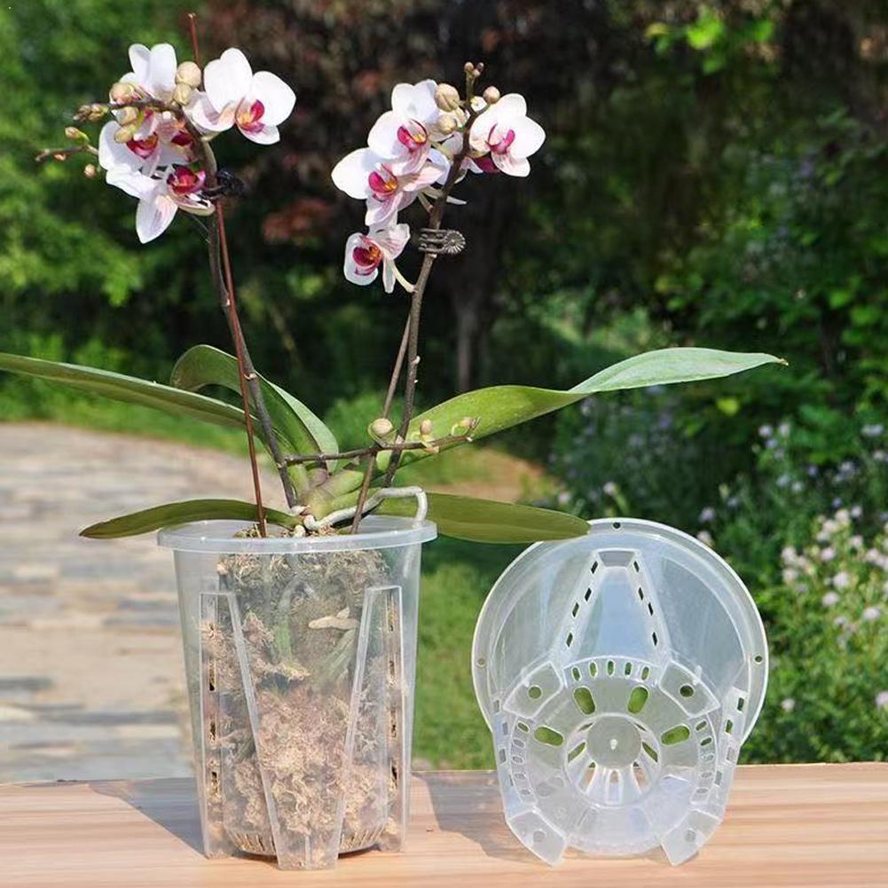 Plastikowa doniczka do kontrol – Aloe Vera Pot recenzja i cena