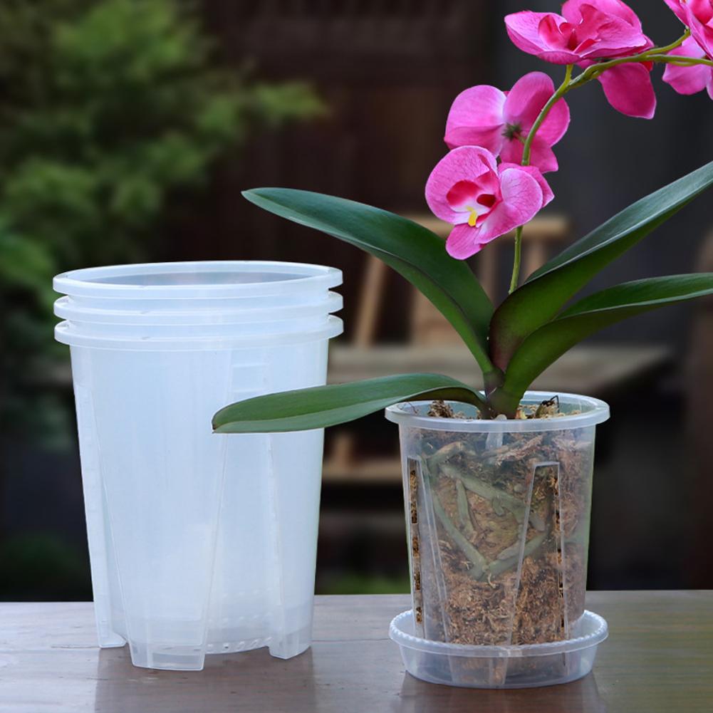 Plastikowa doniczka do kontrol – Aloe Vera Pot recenzja i cena
