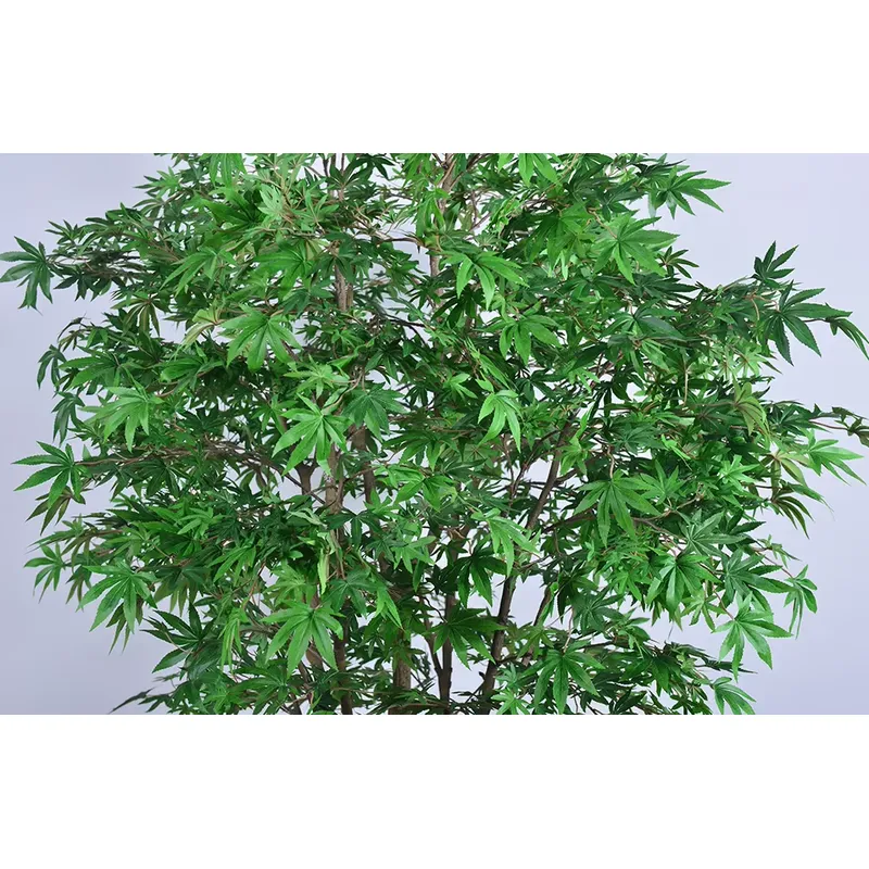 Popularne hurtowe sztuczne drz – Dracaena Marginata recenzja i cena