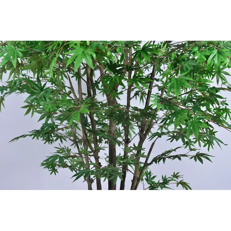 Popularne hurtowe sztuczne drz – Dracaena Marginata recenzja i cena