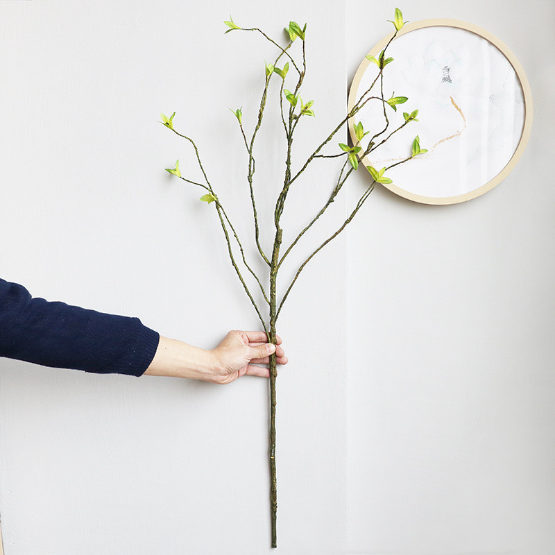 Nowa sztuczna winorośl z ratta – Dracaena Marginata recenzja i cena