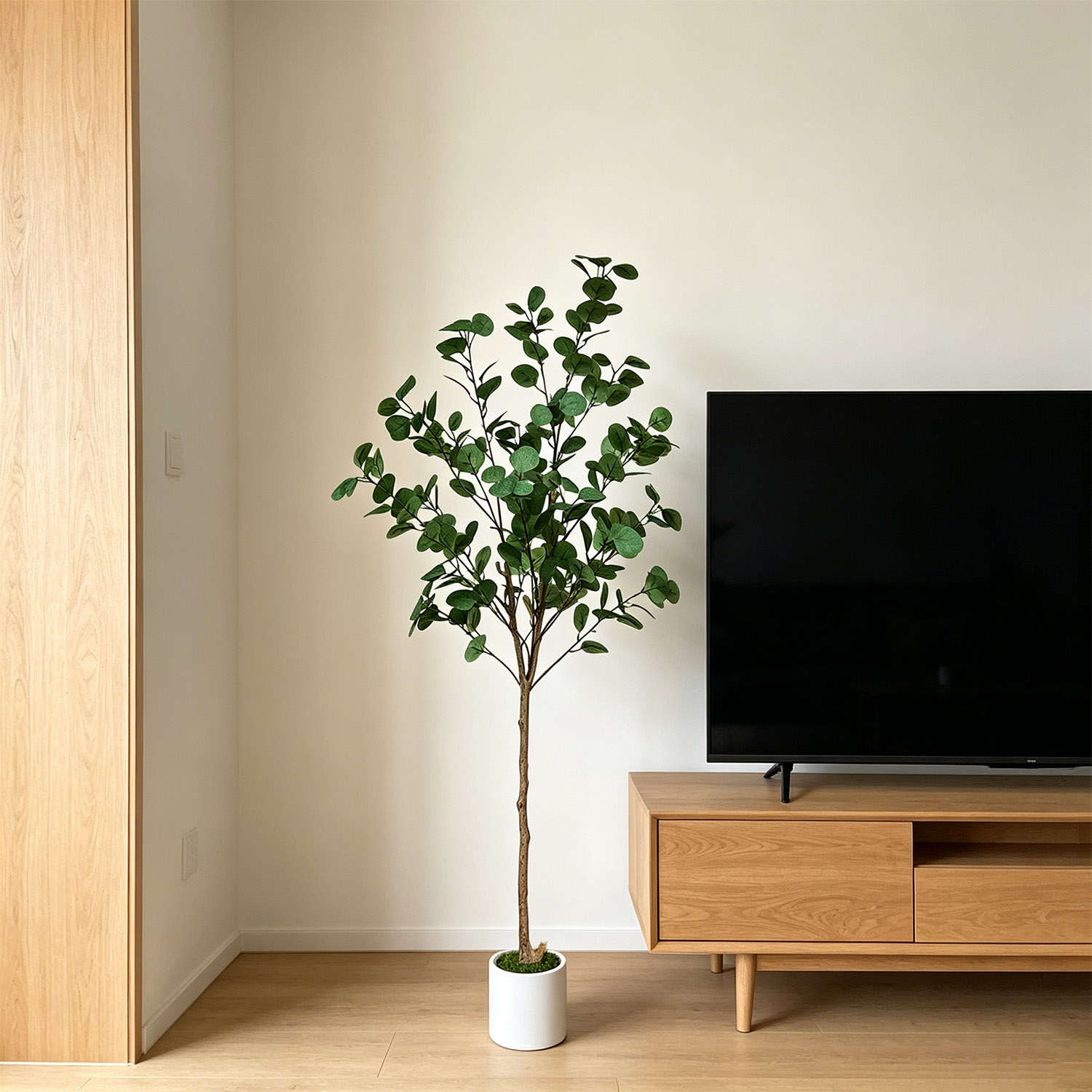 Sztuczna eukaliptusowa gałąź o – Dracaena Marginata recenzja i cena