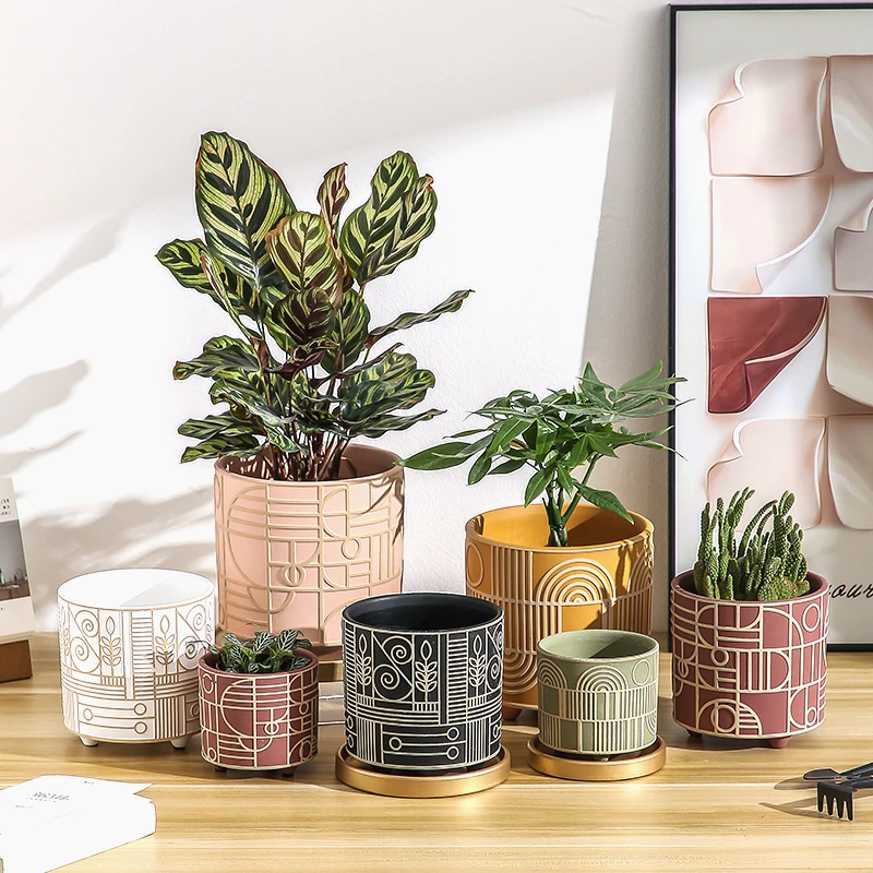 Prosta cylindryczna ceramiczna – Aloe Vera Pot recenzja i cena