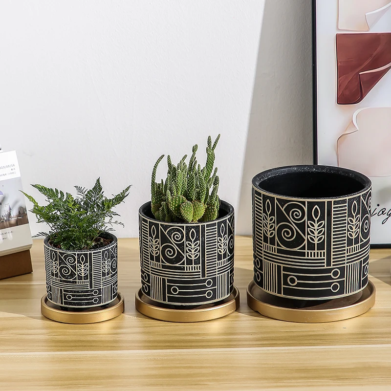 Prosta cylindryczna ceramiczna – Aloe Vera Pot recenzja i cena