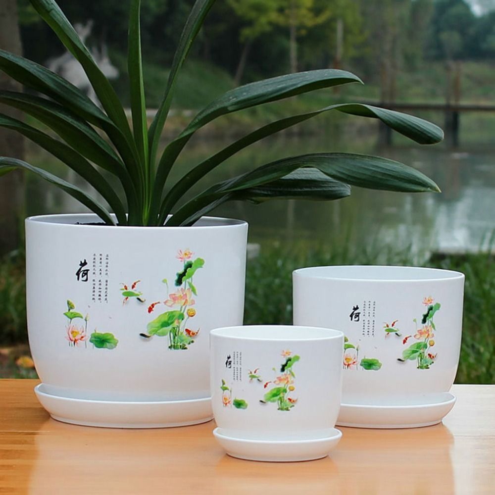 Bardzo duża plastikowa doniczk – Aloe Vera Pot recenzja i cena