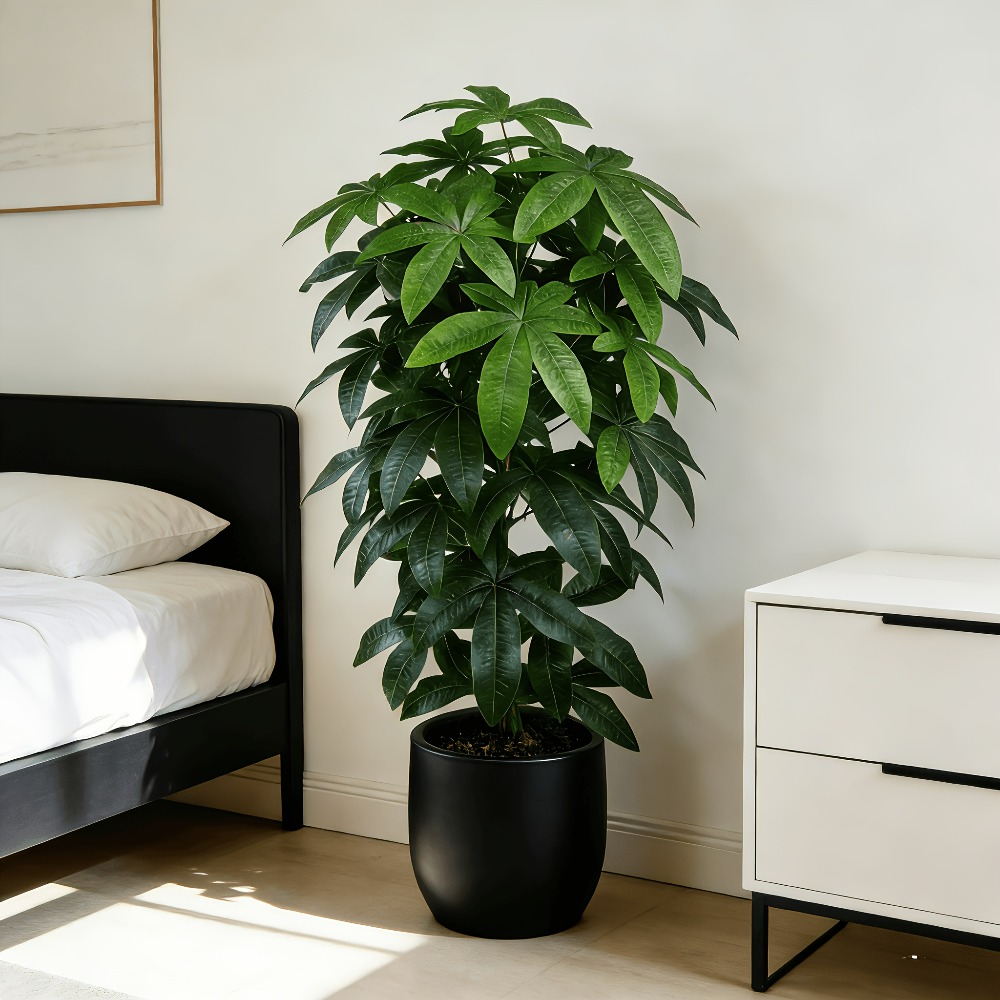 Sztuczna drzewka szczęścia Pac – Monstera Adansonii recenzja i cena