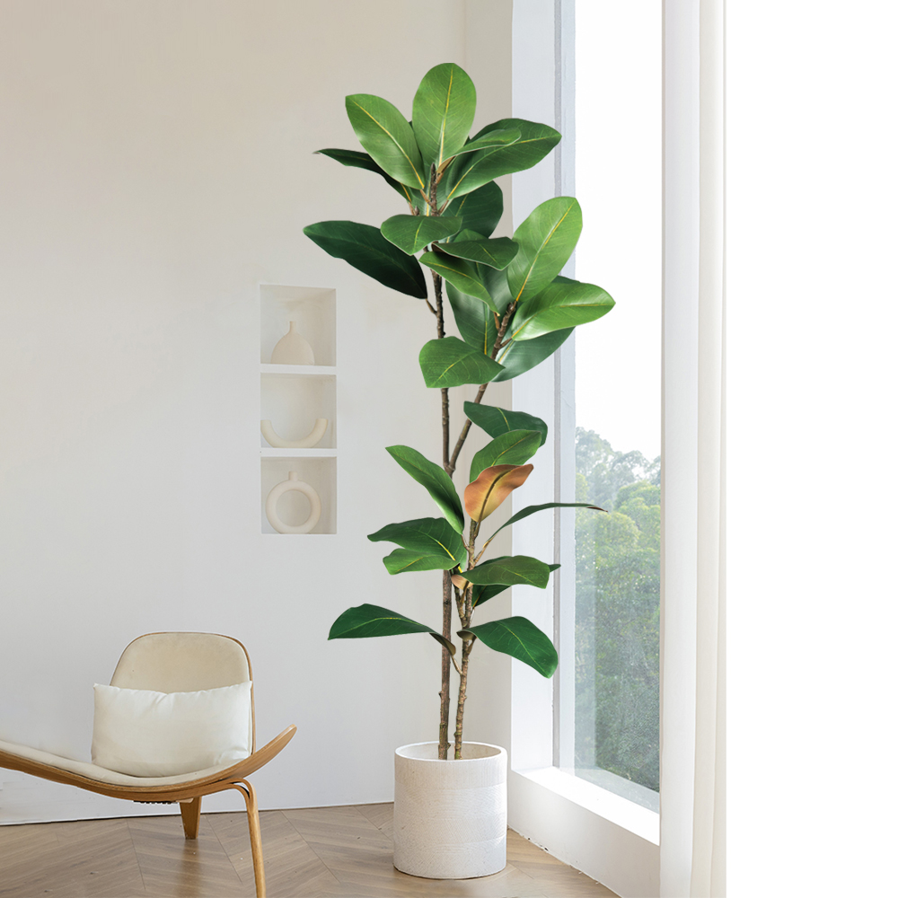 Sztuczne magnolie o wysokości  – Dracaena Marginata recenzja i cena